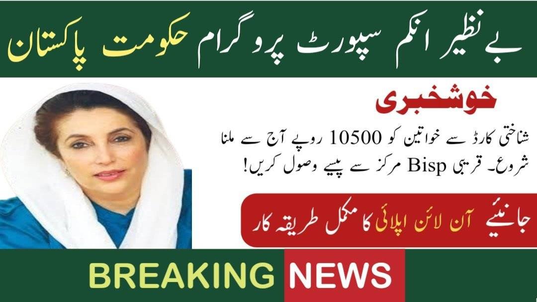 8171 Ehsaas Program CNIC Check Online 10500 Registration 2024