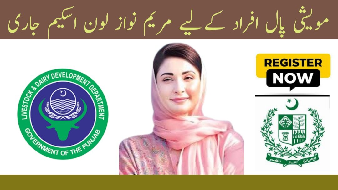 CM Maryam Announces Interest-Free Loans for Livestock Farmers, Register Now!