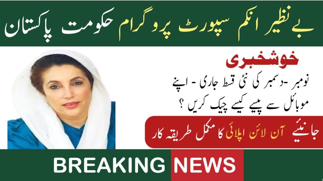 BISP 8171 Result Check Online By CNIC For November to December Payment